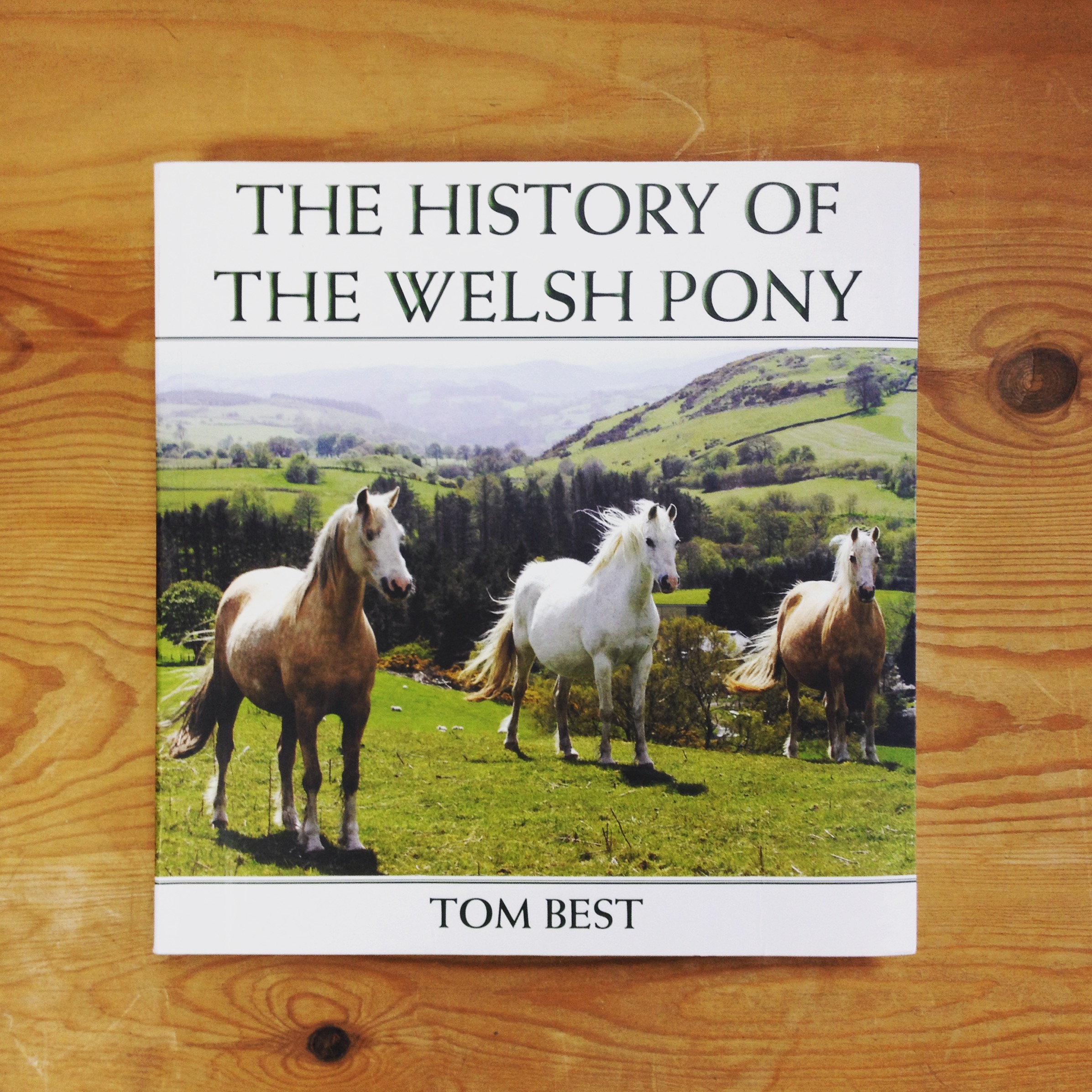Celebrating the National Welsh Pony Show